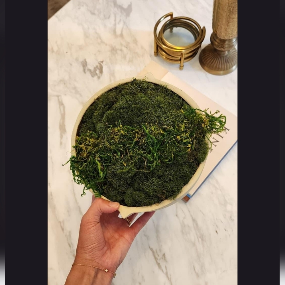 HANDMADE Preserved Moss Bowl Centerpiece